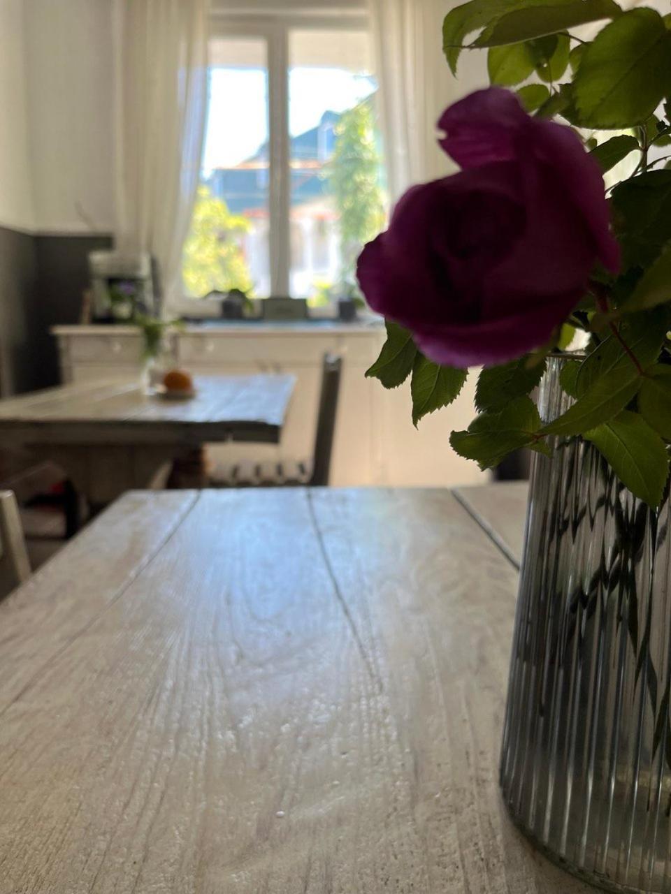 Guest House Junona 马钦加里 外观 照片